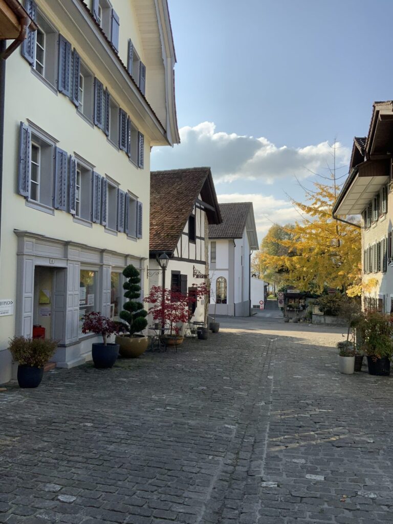Die Gerbegass in Sempach mit der Access Sprachschule links und einem gelben Ginkgobaum